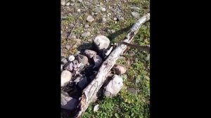 Средневековый меч на берегу реки A medieval sword on the river bank