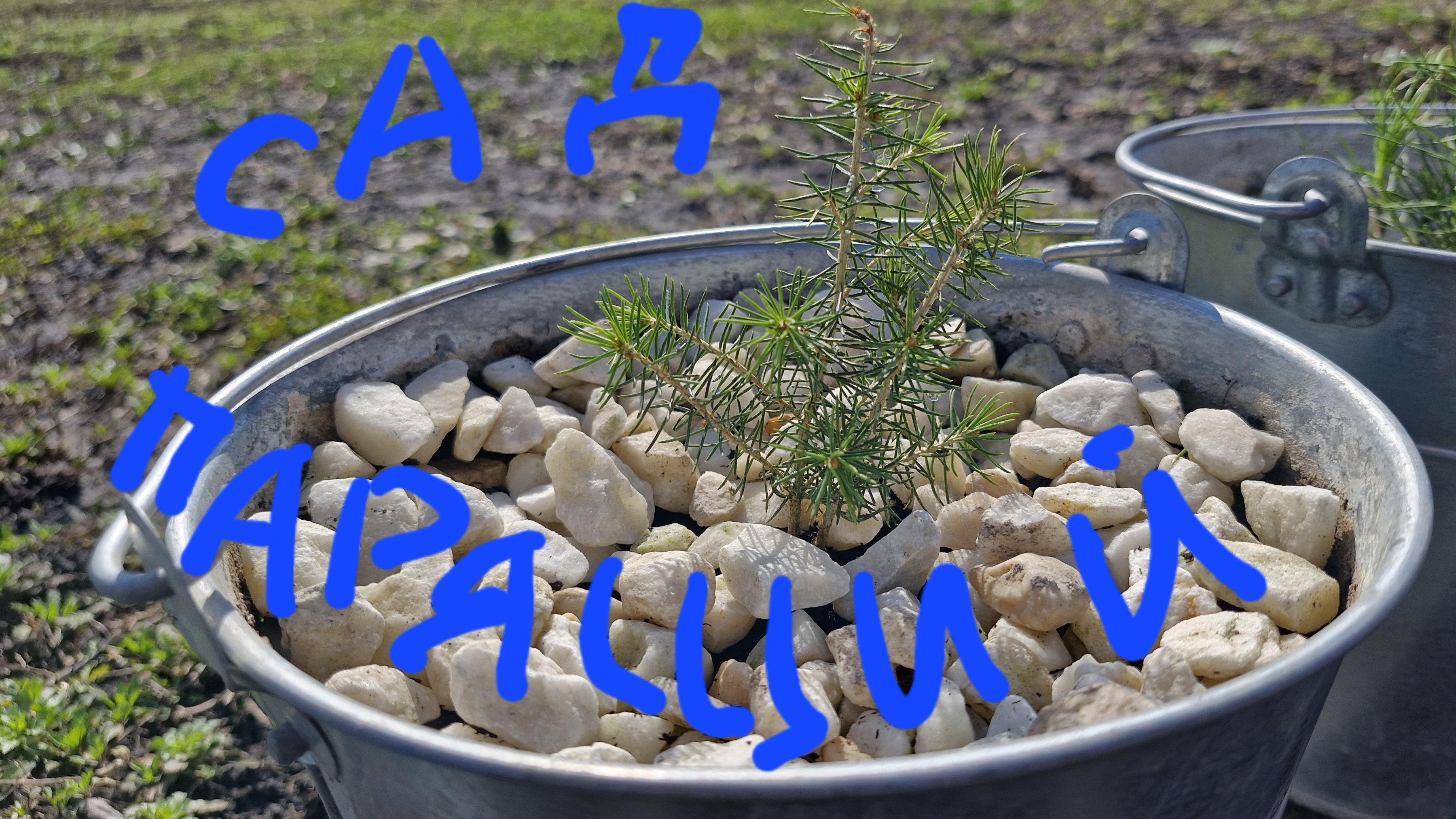 Парящий сад