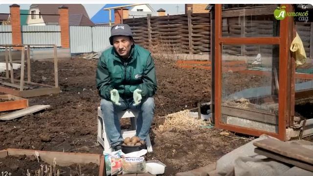 Что нужно внести при посадке картофеля