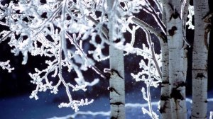 Л. Н. Толстой. Танец Наташи. Отрывок из романа Война и мир