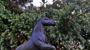 фотосет 💖🐴