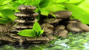 Искусство медленных волн - Красивая Музыка