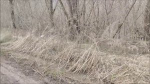 Разлив на Дону, город Лиски, Автомобильный мост, 02.04.2026 года