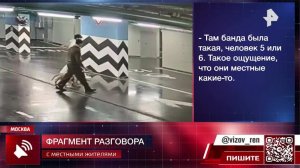 Компания людей выгуливала львенка среди колясок и прохожих в Москве