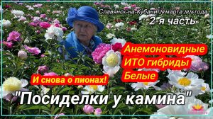 Посиделки у камина. "ПИОНЫ часть 2: Анемоновидные, ИТО-гибриды, Белые" / Сад Ворошиловой