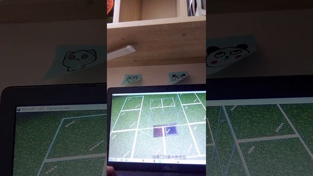 ферма шерсти