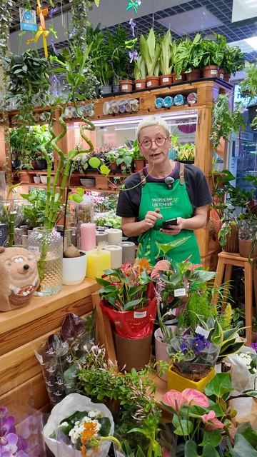 Денежные растения по знакам зодиака. Работать больше не придётся)