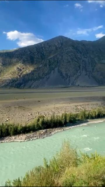 Катунь с высоты птичьего полёта!