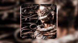 MONTAGEM ALQUIMIA (fonk)