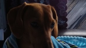 Тропа здоровья