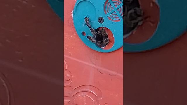 04.04.2026 Работают помаленьку.