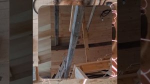 1000055046.mp4 (Собака наблюдает за устройством лестницы на 2-ой этаж в доме А-фрейм)