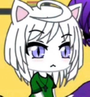 срим обосрим