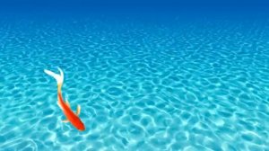 Рыбки для котиков и кошек