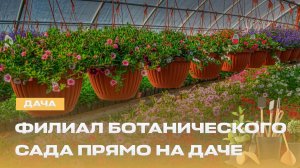 Когда начинается цветочный сезон? | Защита грунта от болезней | Секреты подкормки цветов | Дача