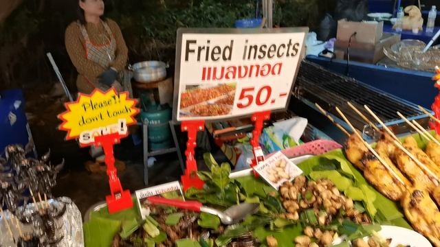 2023.02.04 Паттая Экзотическая еда в Таиланде. Опарыши и скорпионы жаренные