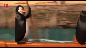 пингвины против банды осьминогов