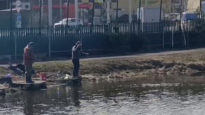 VID_20260404_111637_628