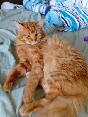 как я занимаюсь йогой