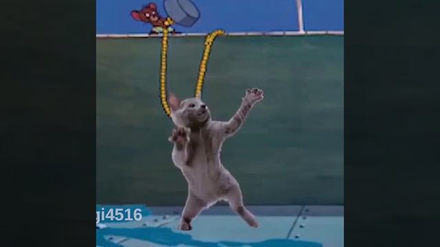 Упал в бассейн - Том и Джерри