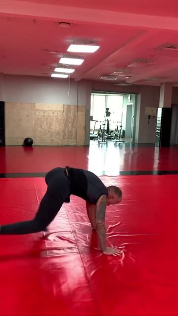 Утренняя гимнастика. Ножи сложили, перешли к фитнесу.