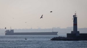 Босфорский пролив был перекрыт из-за судна с неработающим двигателем