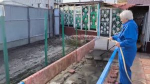 Пусть напьются  и отрастают корешки