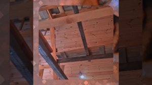 1000055039.mp4 (Собака наблюдает за устройством лестницы на 2-ой этаж в доме А-фрейм)