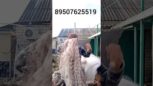 40426 Пуховые платки и изделия из пуха и шерсти