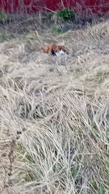 1 часть ( Магазина)