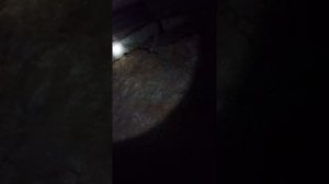 Нас поймал АНОНИМ 1 серия