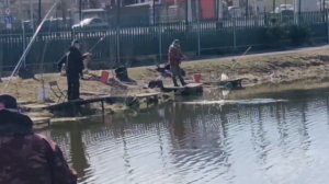 VID_20260404_112940_223