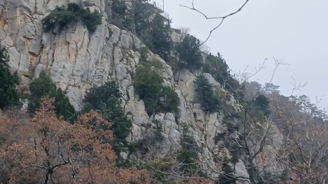 Как по Солнечной тропе дойти до храма  Дорога к храму