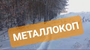 Дополнительный заработок/металлокоп/хобби.