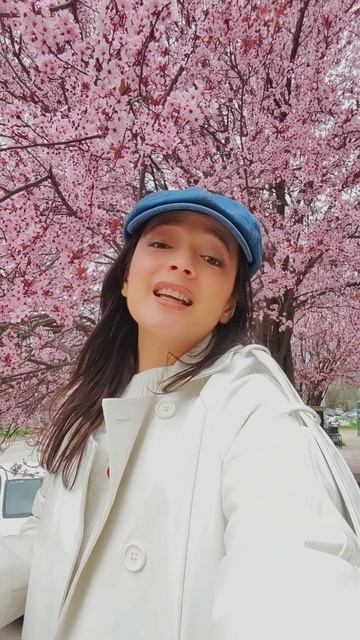 песня «Дорогие мои москвичи» гениального Исаака Дунаевского. Исполнили Леонид и Эдит Утесовы.