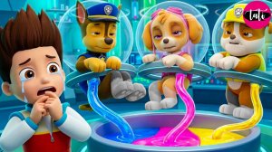 Щенячий патруль и Маршалл. Залипательное видео. Мультфильм для детей и малышей. Анимация 366