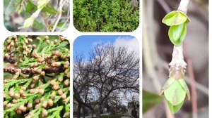 Видеоблог: Один из дней города Евпатории  | 5 февраля 2021 г | Крым | ХАН БАТОН | XAH 6ATOH