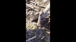 Открытие сезона.