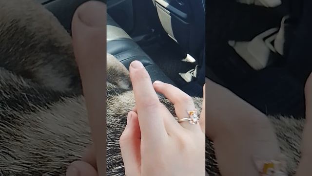 1000003963.mp4 смотреть онлайн