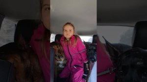 Поездка в горы 3 ⛰️🏔🪨