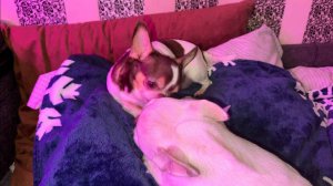 Доброго утречка и легкого начала недели!