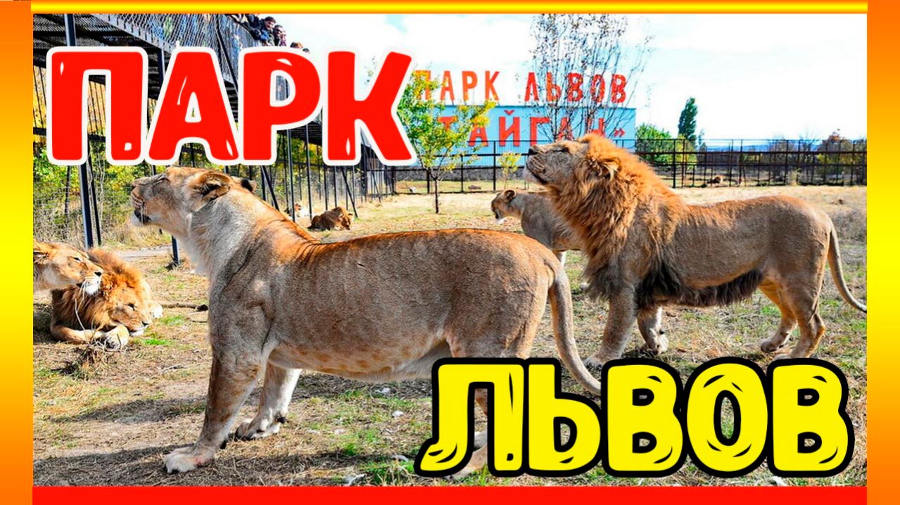 Парк львов Тайган. Крым