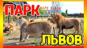Парк львов Тайган. Крым