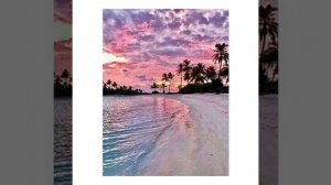 5 часть по обоям