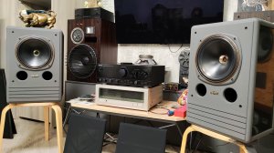 TANNOY SYSTEM 10