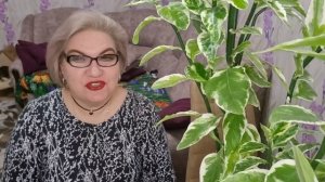 2 часть. Куча на пороге раскрытия ДАРА🥸❗️