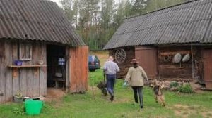 Жизнь в Деревне. Повседневные дела семьи в отдаленной деревне на опушке леса.