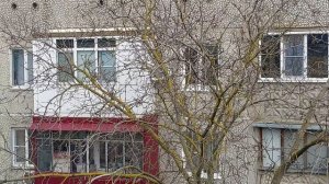 Весенние игры дятлов.Сколько дятлов насчитали?