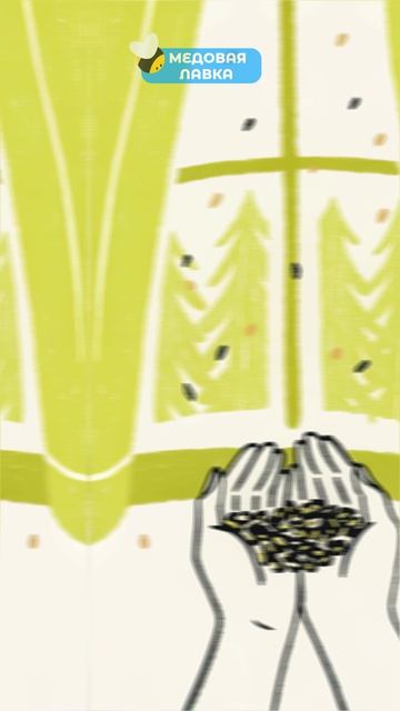 Почему в СССР заставляли есть ПЕРГУ?! Секрет здоровья 🤫🐝 #пчелы #факты #здоровье #мёд #пчеловод