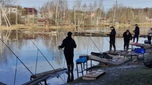 Светлые Горы Форель3 04.04.2026г.